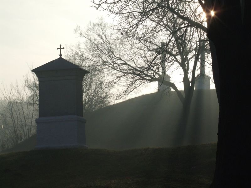 Természet