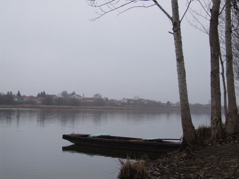Természet