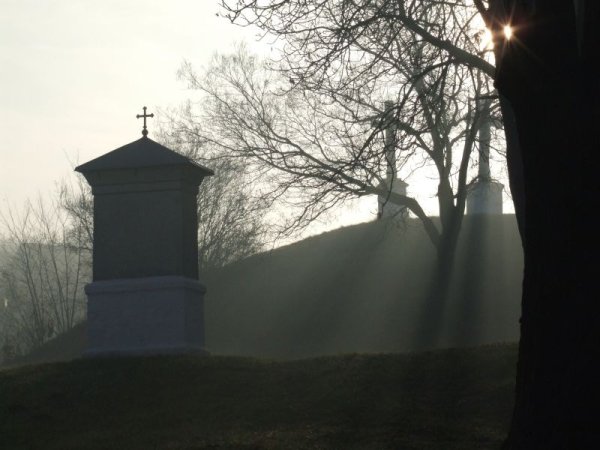 Természet