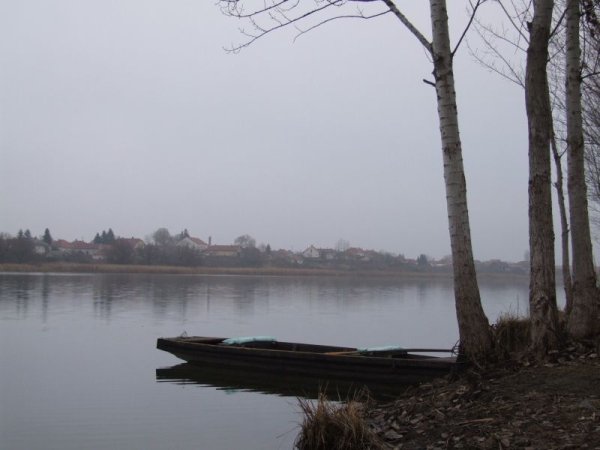 Természet